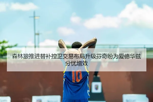 森林狼推进替补控卫交易布局升级芬奇盼为爱德华兹分忧增效